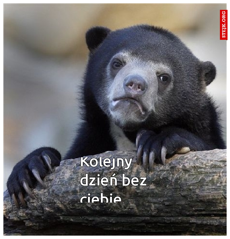 Kolejny dzień bez  ciebie 