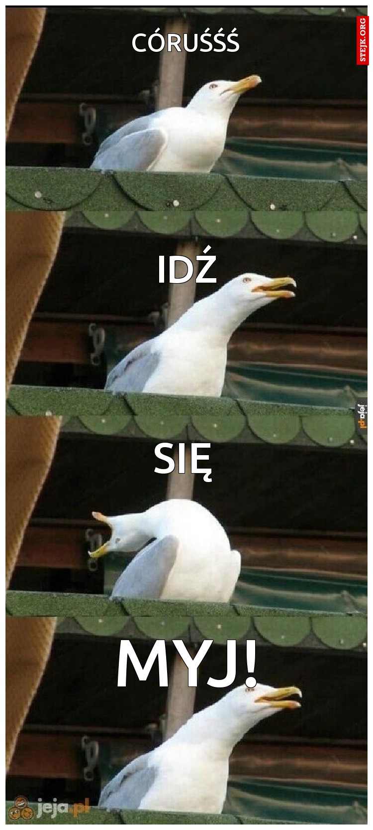 córuśśś