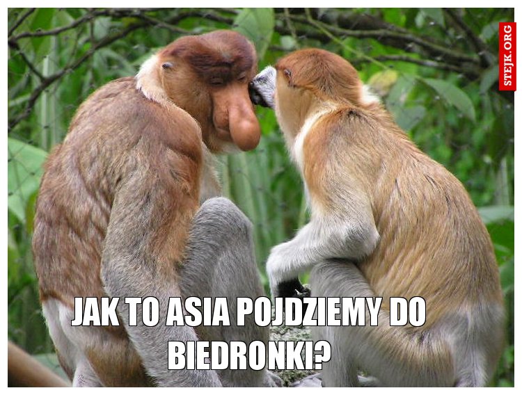 Jak to Asia pojdziemy do biedronki?