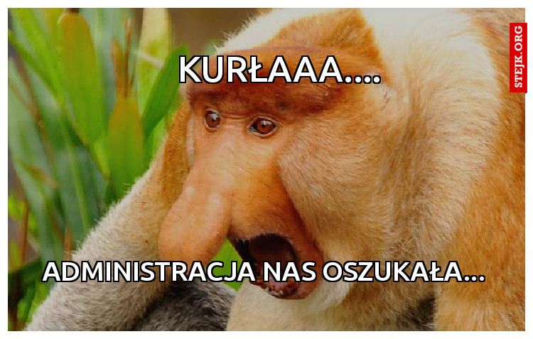 Kurłaaa.... 