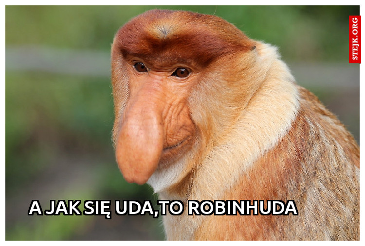 A jak się uda,to robinhuda