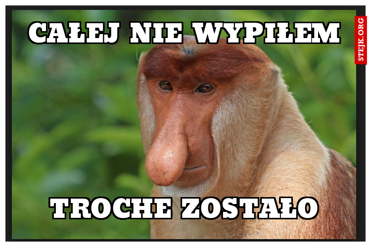 CAŁEJ NIE WYPIŁEM