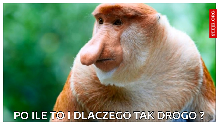 Po ile to i dlaczego tak drogo ?