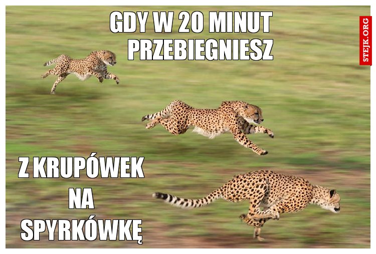 gdy w 20 minut