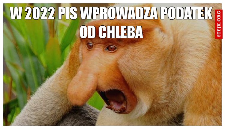 W 2022 pis wprowadza podatek od chleba