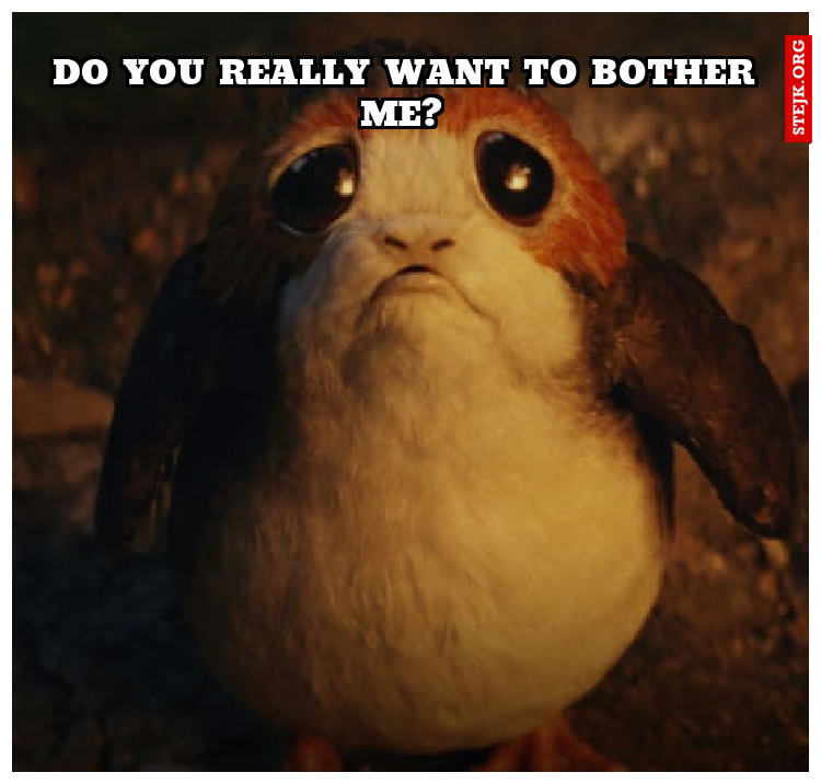 Do you really want to bother me? 
