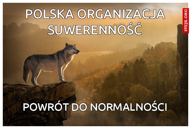 polska organizacja suwerenność