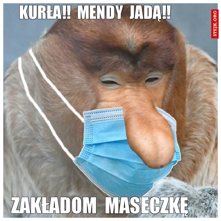 kurła!!  mendy  jadą!!