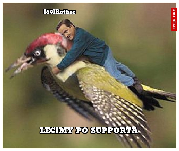 [69]Rother