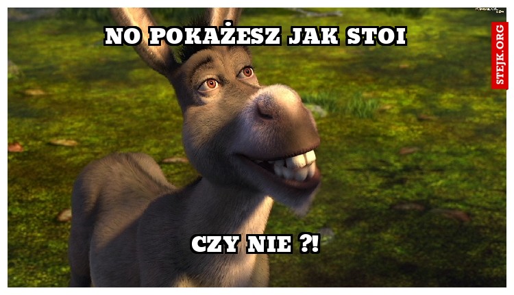 NO POKAŻESZ JAK STOI
