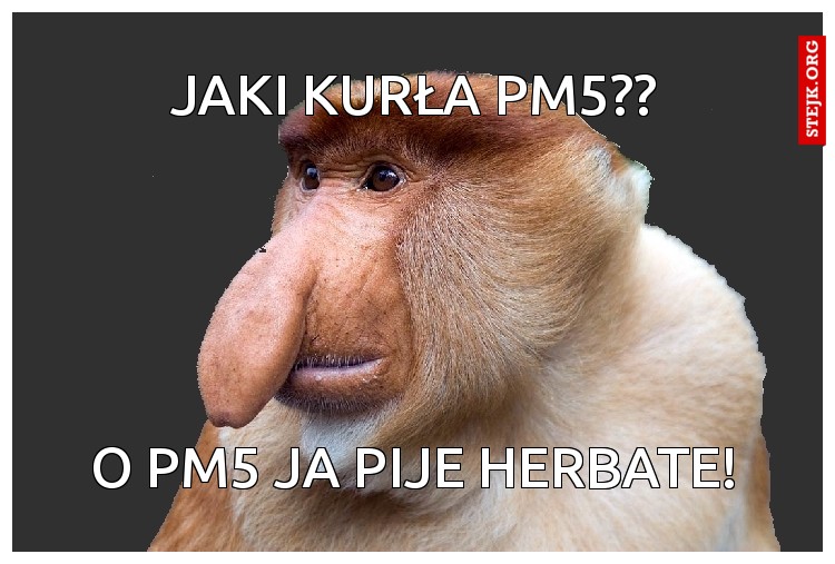 Jaki kurła PM5??