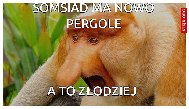 SOMSIAD MA NOWO PERGOLE