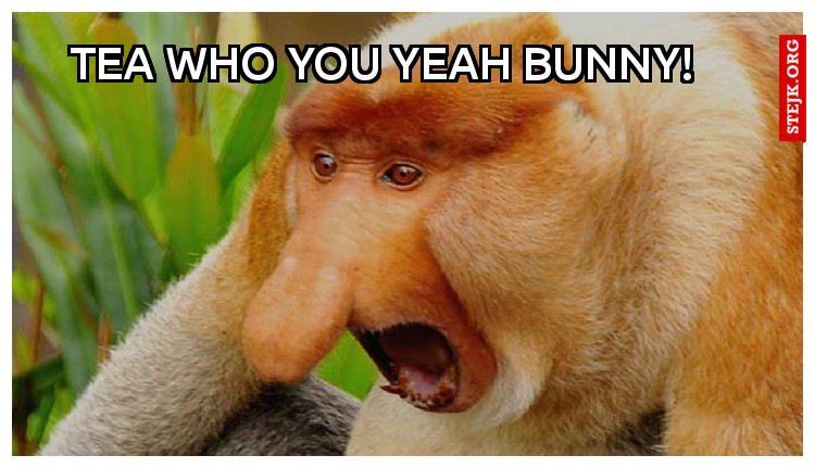 Tea who you yeah bunny! 