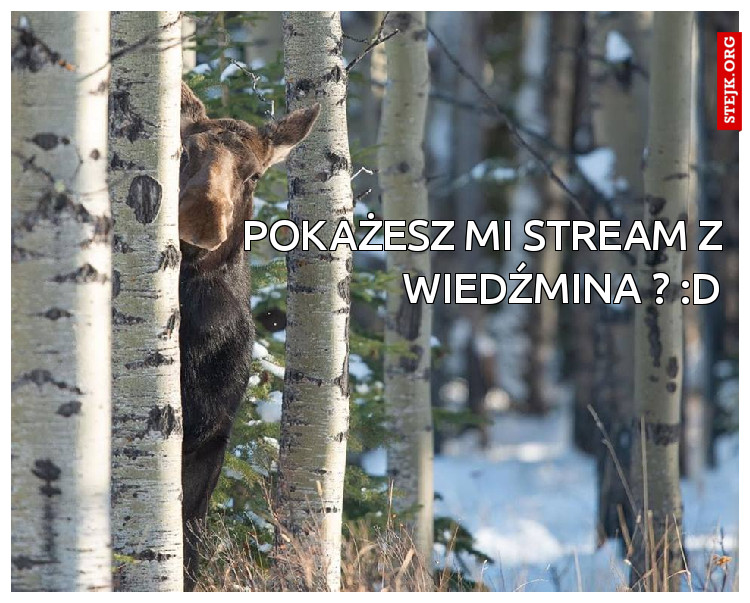 Pokażesz mi stream z Wiedźmina ? :D