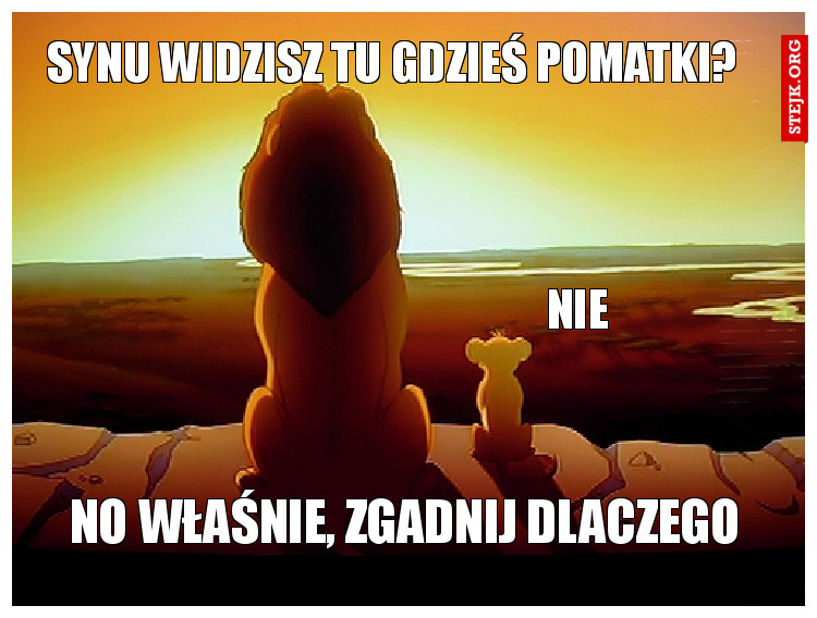 Synu widzisz tu gdzieś pomatki?