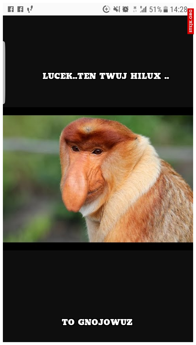 Lucek..ten Twuj Hilux ..
