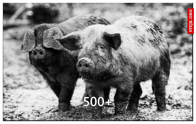 500 