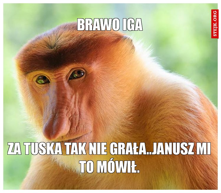 Brawo Iga