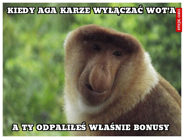 kiedy aga karze wyłączać wot'a