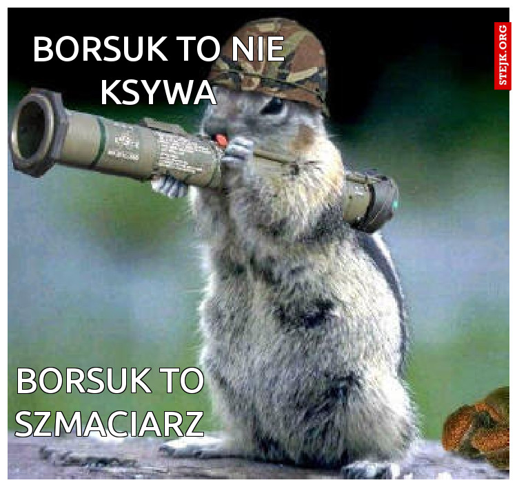 Borsuk to nie ksywa