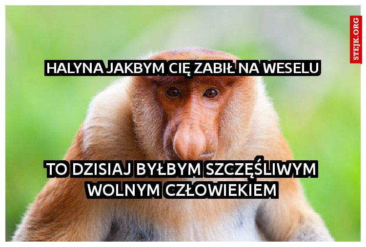 Halyna jakbym cię zabił na weselu