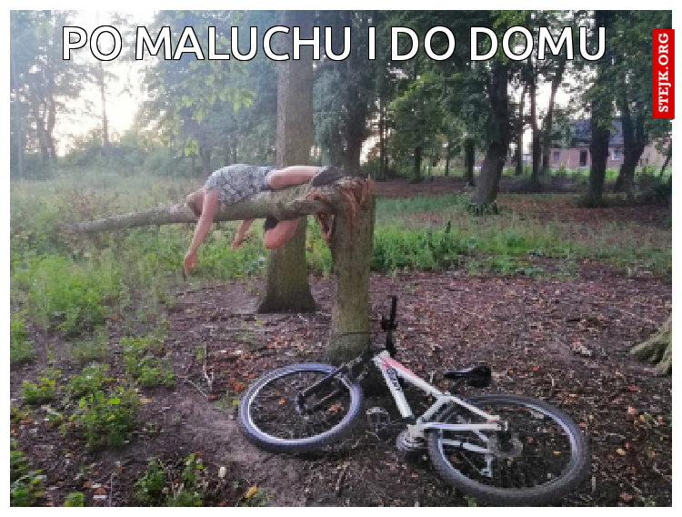 PO MALUCHU I DO DOMU
