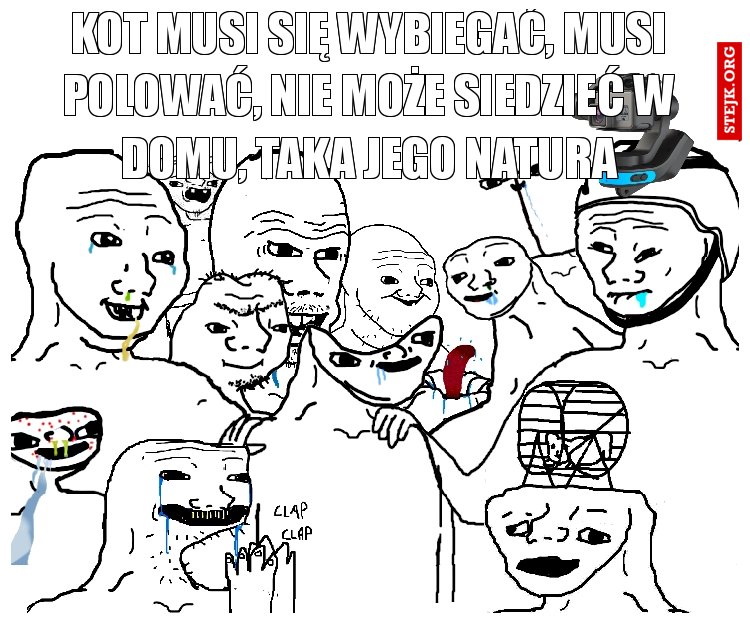 kot musi się wybiegać, musi polować, nie może siedzieć w domu, taka jego natura