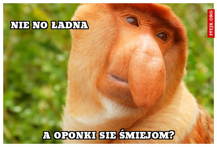Nie no ładna