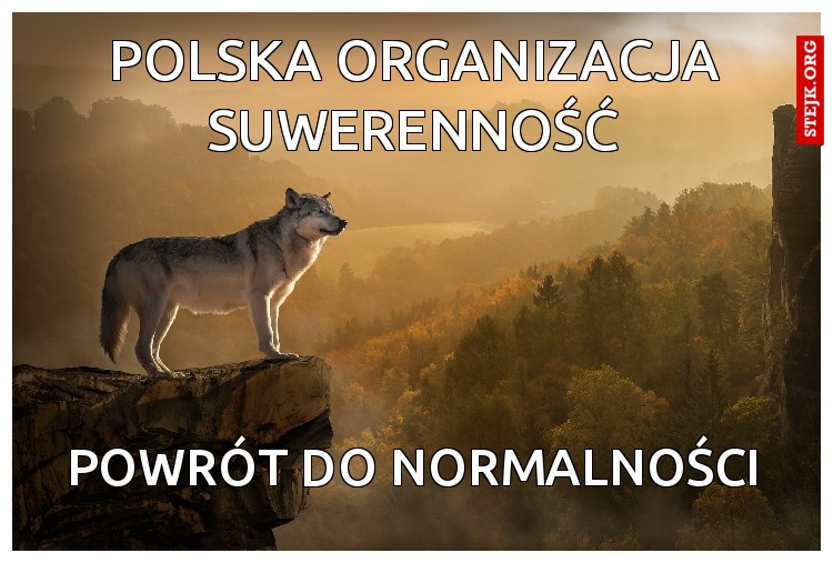 polska organizacja suwerenność