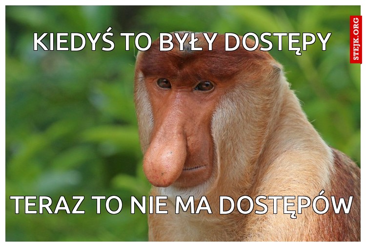 KIEDYŚ TO BYŁY DOSTĘPY