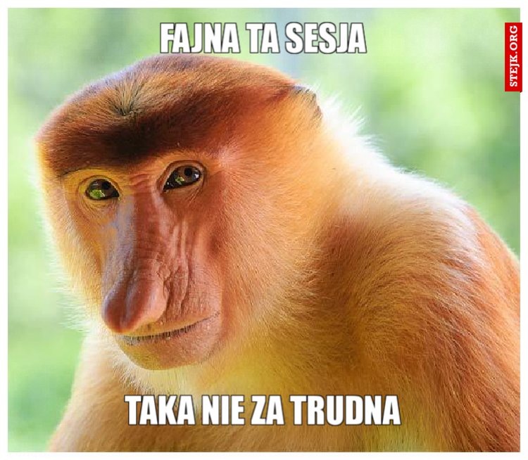 Fajna ta sesja