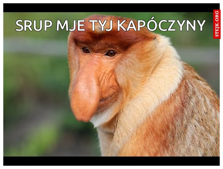 Srup mje tyj kapóczyny
