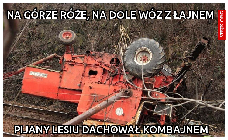 kuśtowa edyszyn
