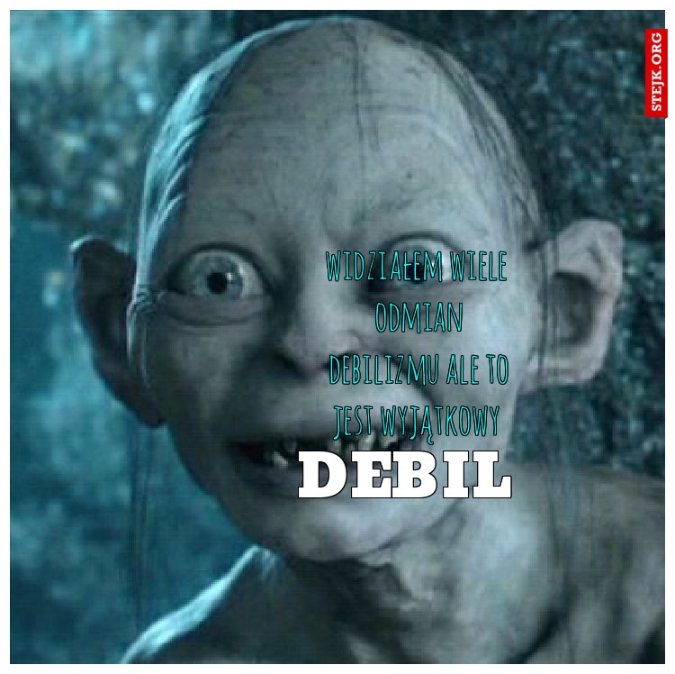 widziałem wiele  odmian debilizmu ale to jest wyjątkowy 