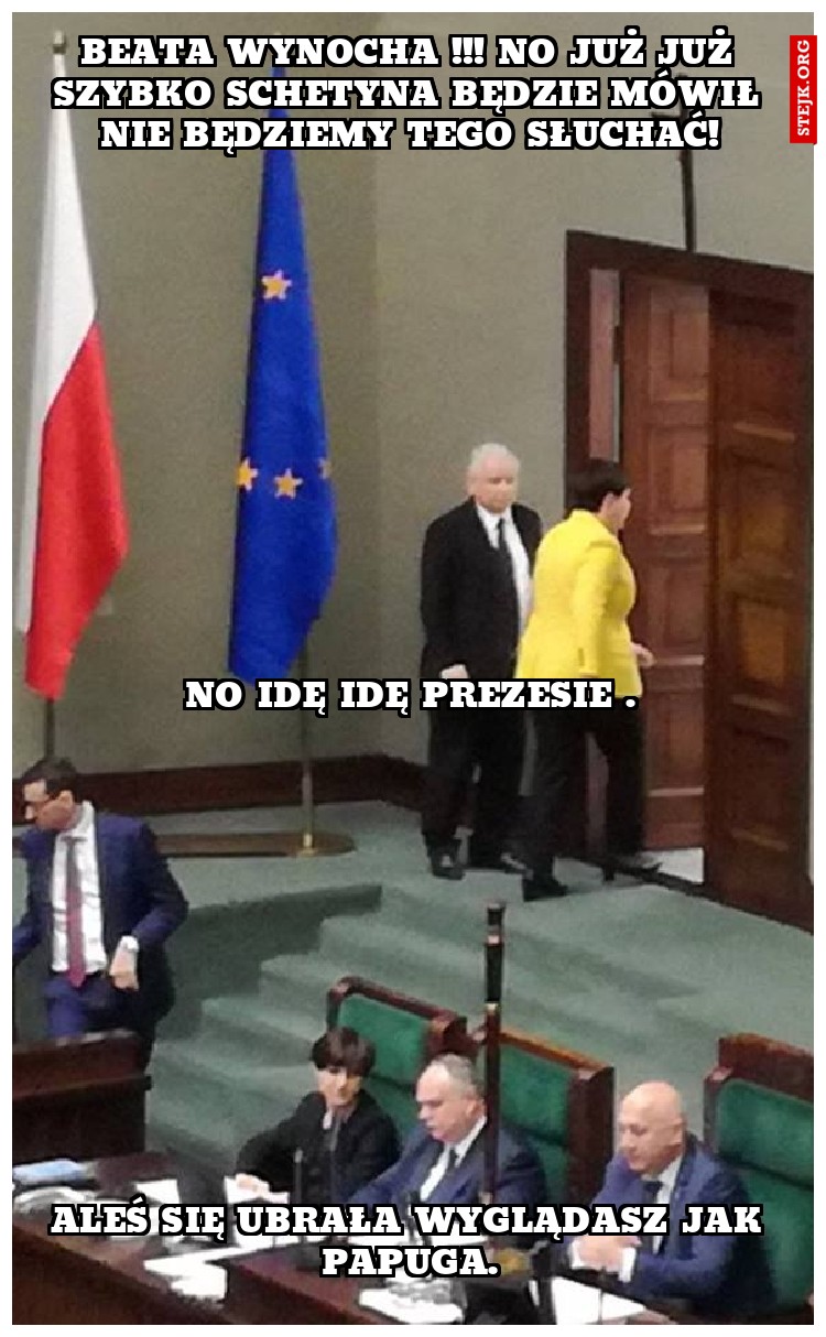 BEATA WYNOCHA !!! NO JUŻ JUŻ SZYBKO SCHETYNA BĘDZIE MÓWIŁ NIE BĘDZIEMY TEGO SŁUCHAĆ!