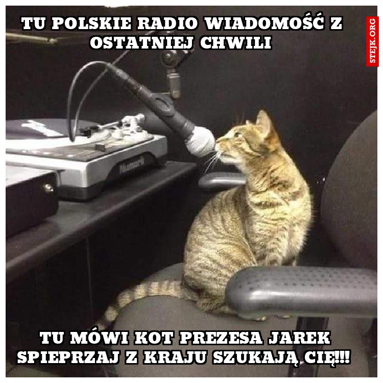 Tu polskie radio wiadomość z ostatniej chwili 