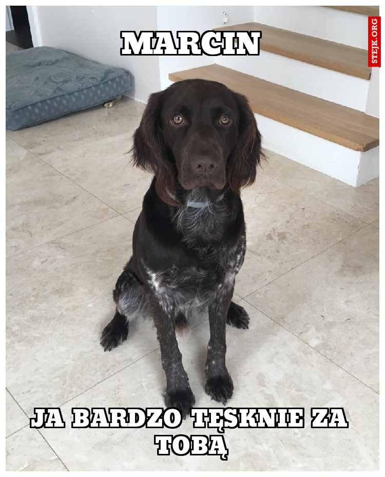 ZESRAŁEM SIĘ