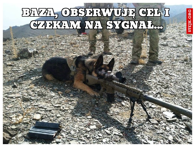 Baza, obserwuję cel i czekam na sygnał...