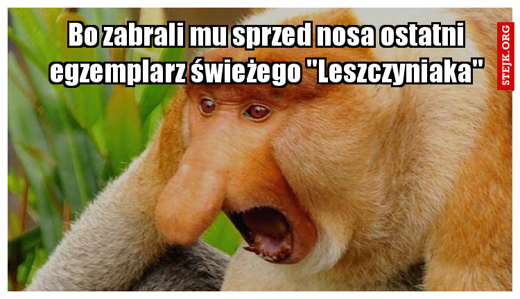 Samozwańczy Instytut Promocji Czytelnictwa zaleca