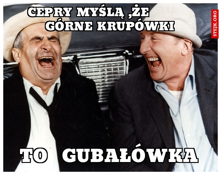 cepry myślą ,że          Górne krupówki