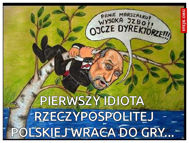 Pierwszy idiota 