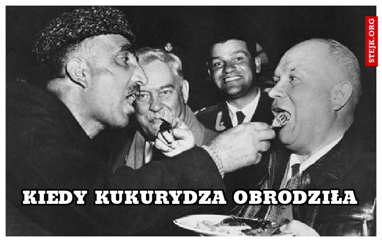 Kiedy kukurydza obrodziła