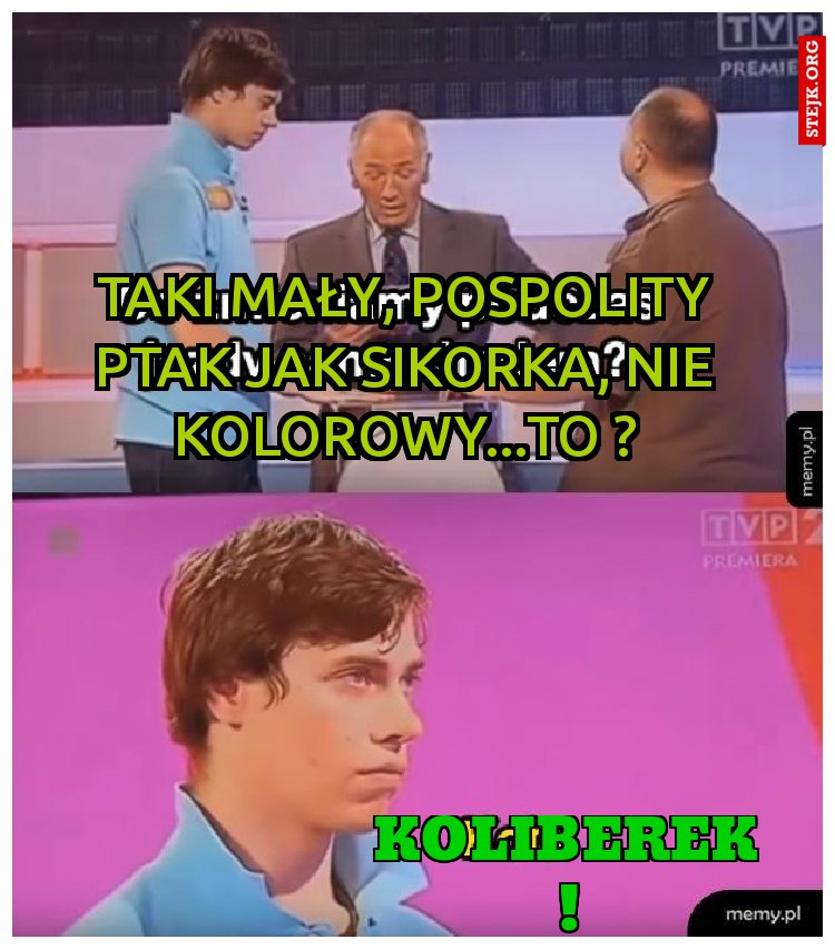 Taki mały, pospolity ptak jak sikorka, nie kolorowy...to ?