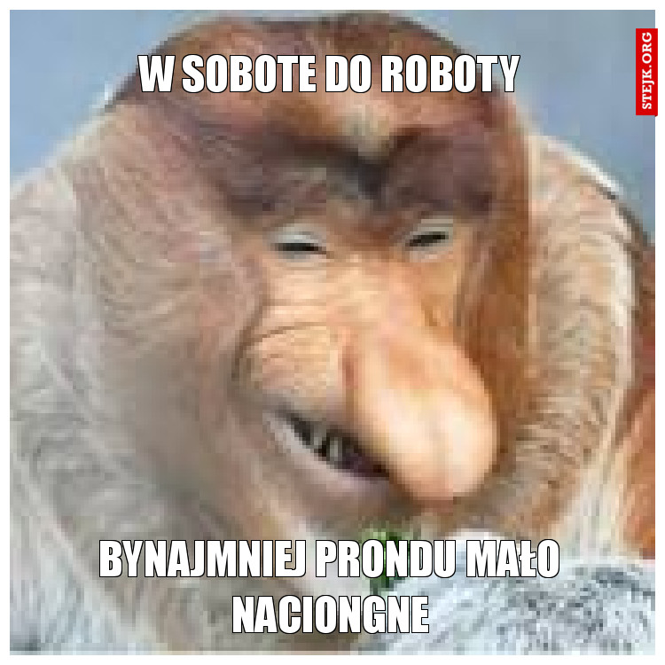 W SOBOTE DO ROBOTY