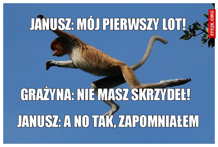 janusz: mój pierwszy lot!