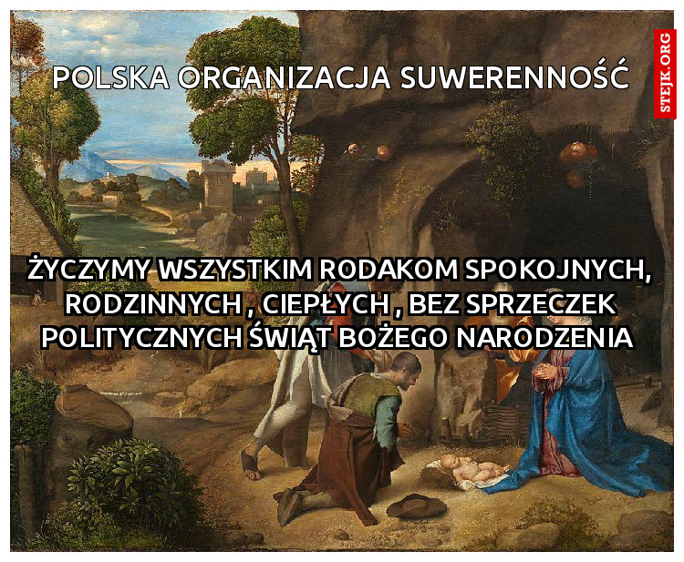 polska organizacja suwerenność