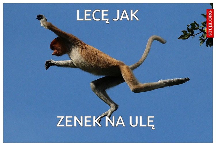 lecę jak