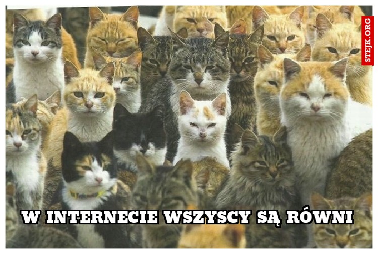 W internecie wszyscy są równi