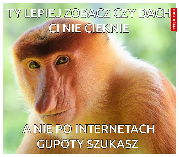 Ty lepiej zobacz czy dach ci nie cieknie