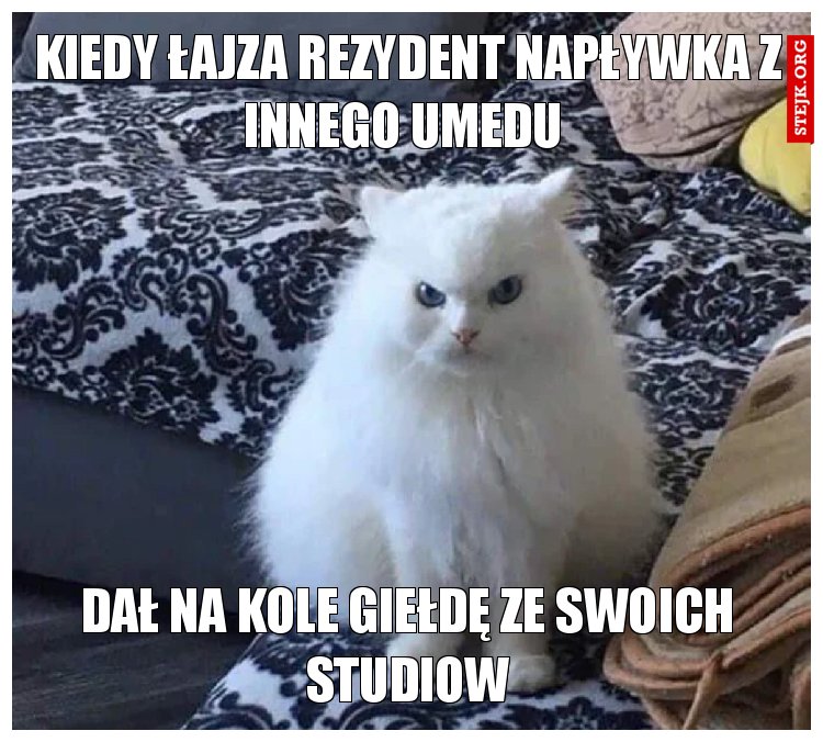 Kiedy łajza rezydent napływka z innego umedu 